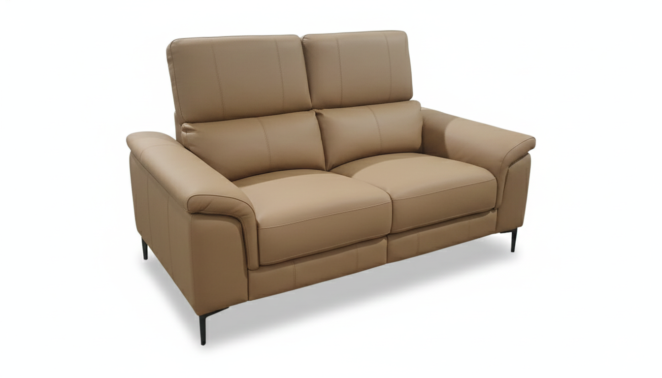 KEVIN LEATHER 2 SEATS